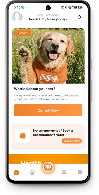 Conbun App Mockup